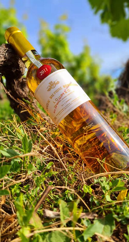 Cuvée d'Exception - Chateau Dauphiné-Rondillon 