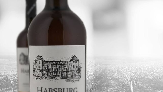 Degustação de vinhos e tour na vinícola Habsburg