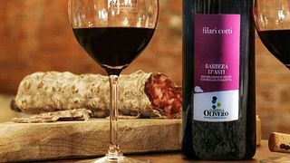 Deluxe-Verkostung von 3 Weinen in der Cantina Olivero