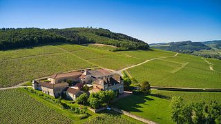 Weinprobe und Führung im Château de la Greffière