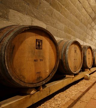 Degustazione di vini e visita ai vigneti e alla cantina di Béres