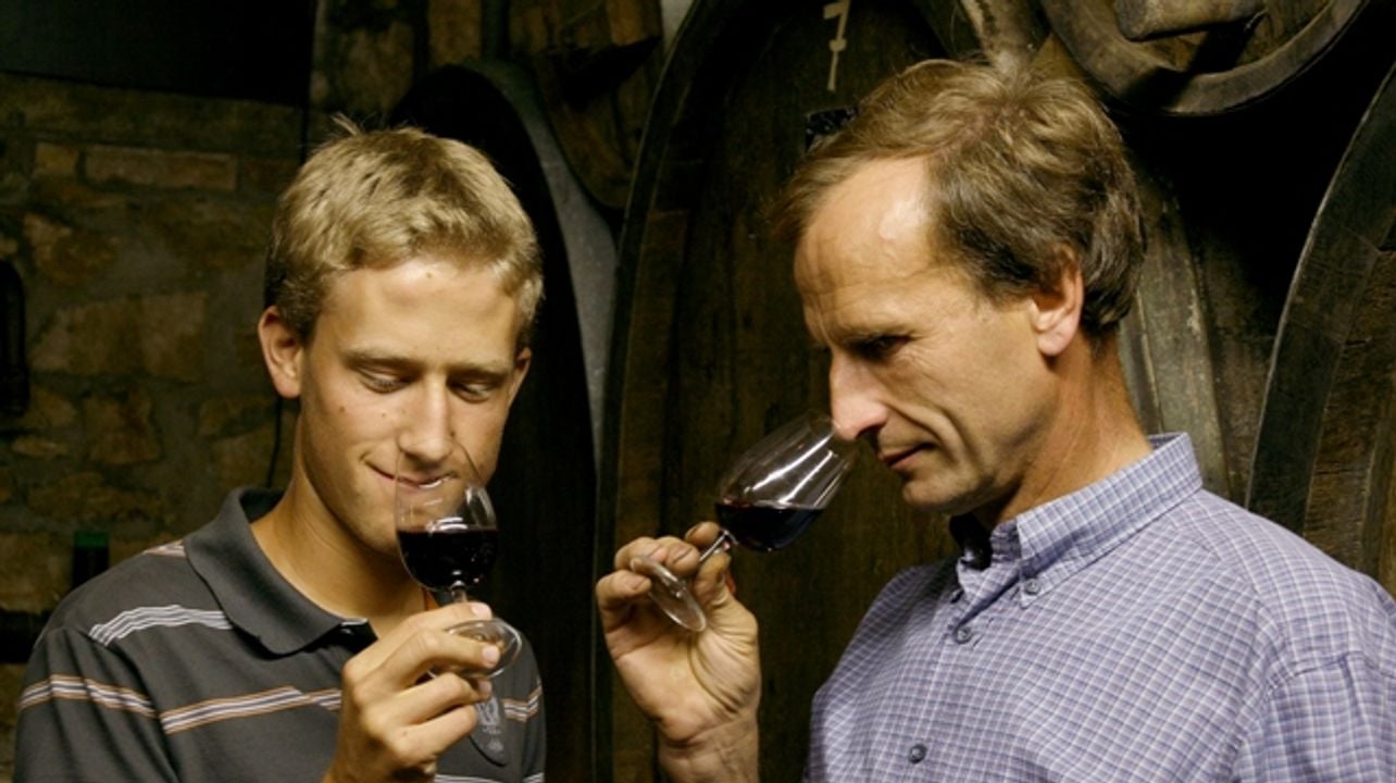 Ökologisches Weingut Hubert Lay
