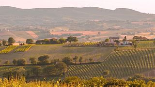 Antonelli San Marco Winery