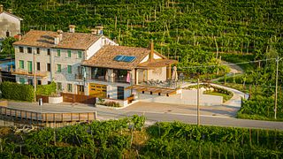 Degustação de Vinhos Edição Limitada