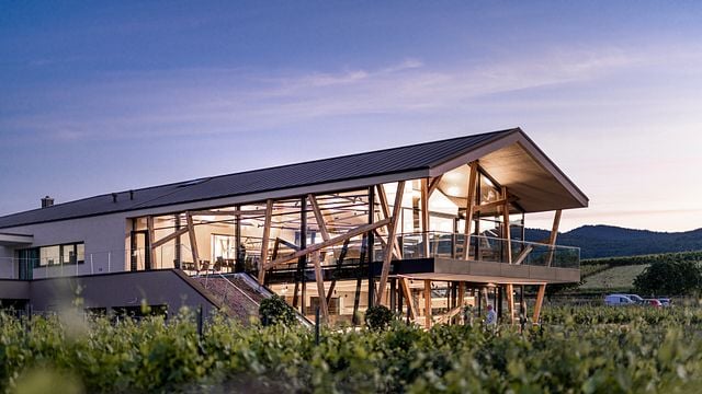 Winery Reinhardt