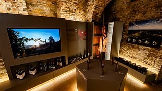 Besuch des Ruchè-Museums und Weinprobe bei Azienda Agricola Luca Ferraris