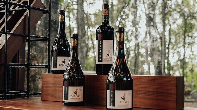 Wine Tasting and Tour at Lidio Carraro Winery