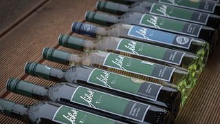 Dégustation de vins et visite à la Schilcherei | Domaine viticole Jöbstl