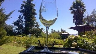 Weinprobe und Tour im Weingut Mellasat