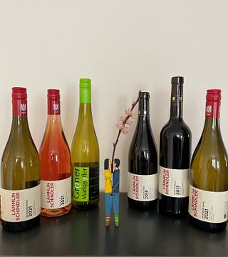 Vinprovning och vingårdsvandring vid Weingut Lämmlin-Schindler