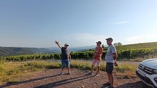 Côte-Rôtie im Blickfeld: Von den Hängen bis in den Keller