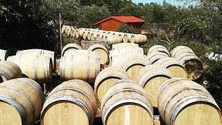 Visita y degustación de un viñedo familiar y auténtico | Domaine de la vieille