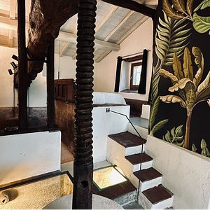 Palmento San Nicolò: A Vineyard Retreat Like No Other