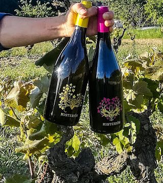 El Jardí dels Sentits Cellar