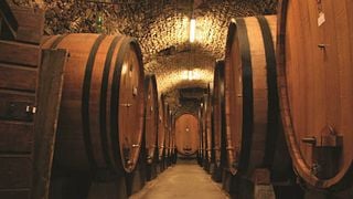 Visite des vignobles de Brunello au départ de Sienne