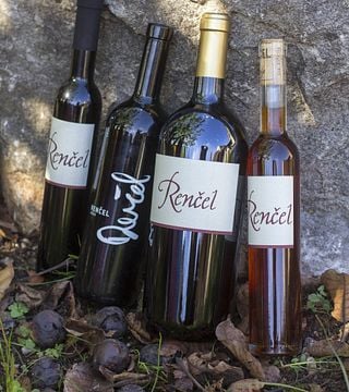 Degustazione di vini e visita alla boutique Renčel