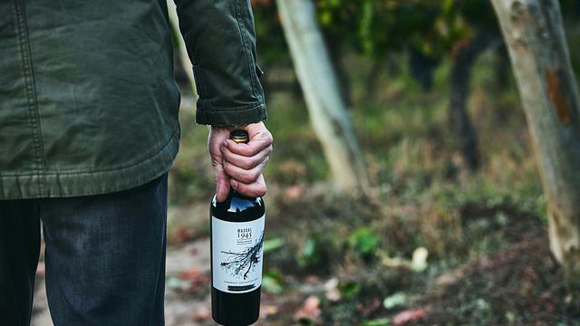 Weinverkostung zwischen den Weinbergen von Clos de Luz