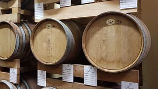 Piedmont Wine Adventure at La Patareina