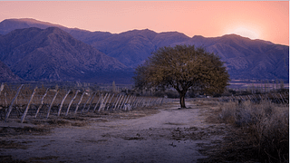 La degustazione e il tour segreti di vini a Vasija Secreta