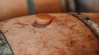 Tenuta il Nespolo: A Gem in Piedmont