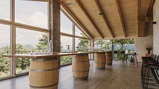 Degustazione di vini e tour a Sveti Martin