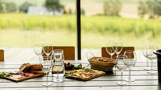 Degustação de vinhos privada e visita guiada à vinha