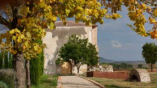 Weinprobe und Tour bei Bodegas Y Viñedos La Mejorada