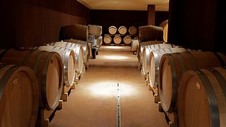 Tenuta La Cà: A Modern Winery in Veneto