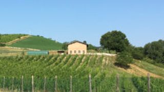 Visit, wine tasting and local food at Tenuta La Riva