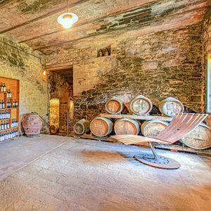 Bacco Wine tour på Fattoria Santo Stefano