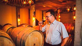 Vingårdsbesök och ekologisk vinprovning på Weingut Seck