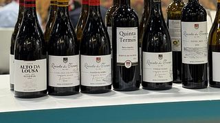 Quinta Dos Termos
