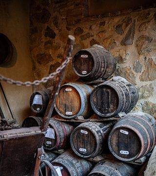 Taste Chianti Classico with Siena Views in the Tuscan Hills