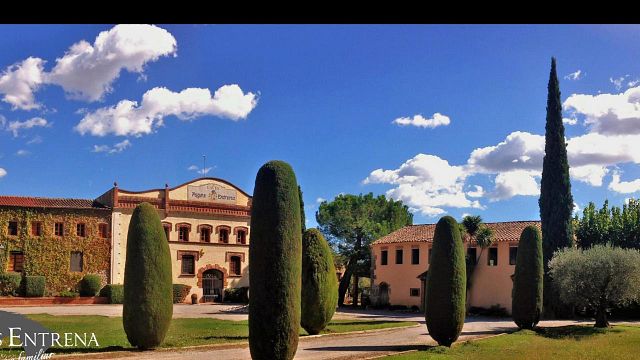 Catalan Cava & Vineyard Journey at Pagès Entrena