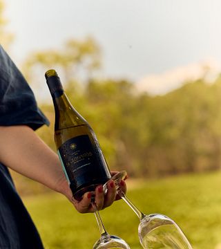 Cellar Door Tasting Experience