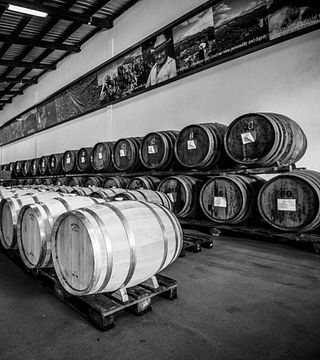 Vom Land zum Meer – Weinprobe bei der Pico Island Wine Cooperative – Picowines