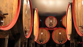 Vinprovning och rundtur på Terre del Barolo