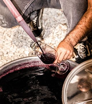 Cirelli Wines