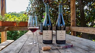 Cata y visita de Nebbiolo en Poderi Vaiot