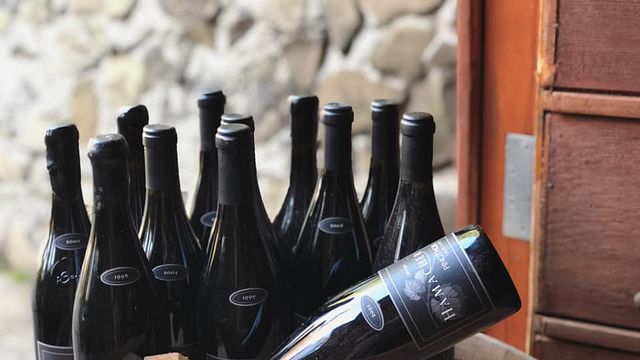 Cata de vinos y visita guiada en Hamacher Wines