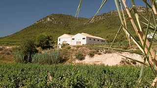 Degustazione di vini e tour alla Bodega Balcona