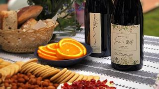 Tour und Verkostung bei Vinos Mingaco