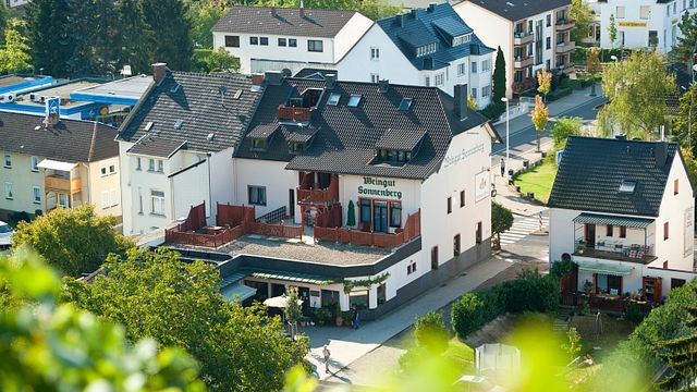 Dégustation de vins et visite au Weingut Sonnenberg