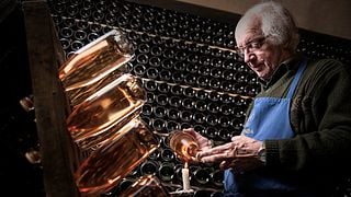 Dégustation de vins et visite à Arunda