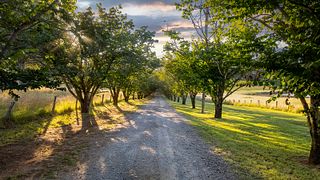 Stockman's Ridge Wines