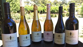 Dégustation de vins et visite des vignobles de Myattsfield