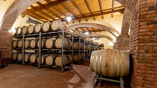 Los Cuatro Magníficos - Experiencia de Vino Blanco