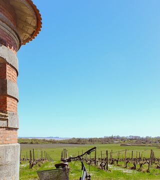 Bordeaux Bike & Wine: Médoc Vineyard Picnic Tour