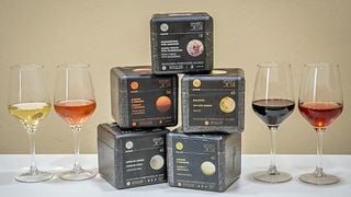 Wine tasting with a gastronomic ice cream pairing 