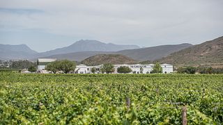 McGregor Winery